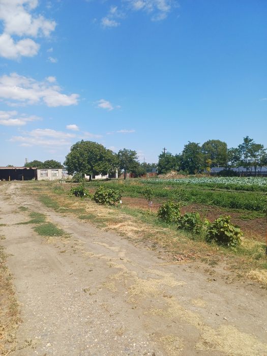 Casă cu teren în sat Albina