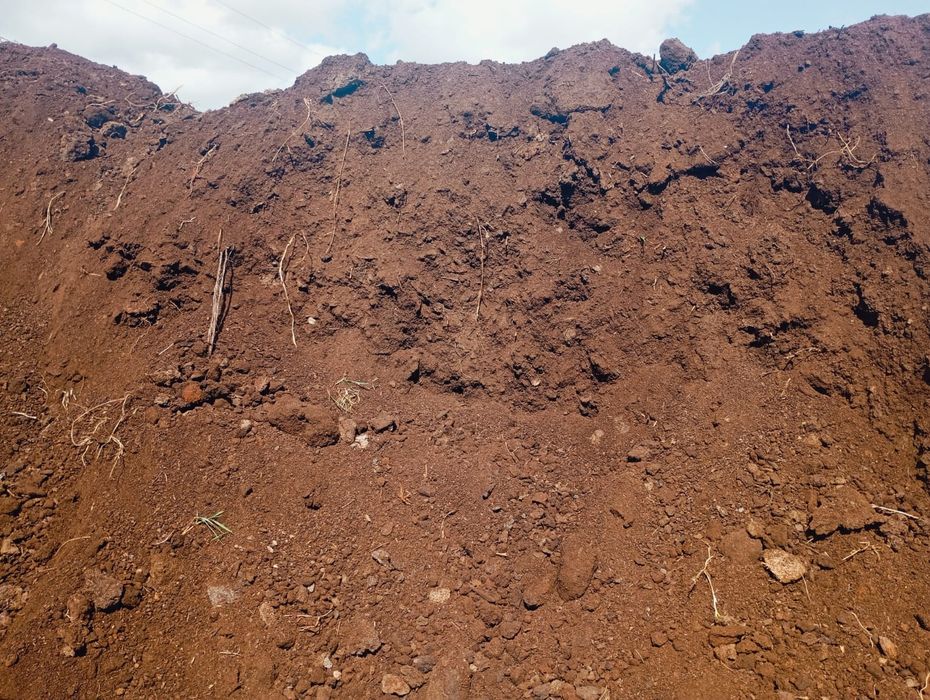 Продам перегной, навоз