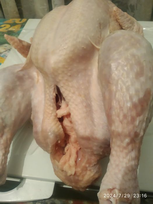 Мясо индейки. Недорого