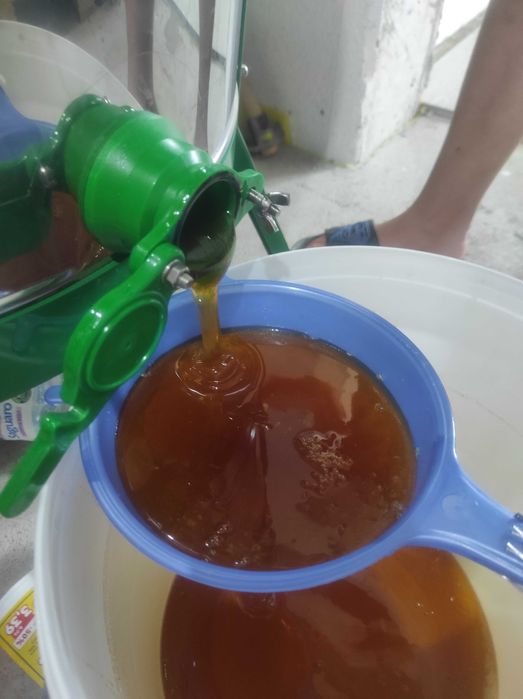 Пчелен мед -Липа,Горски букет,Слънчоглед