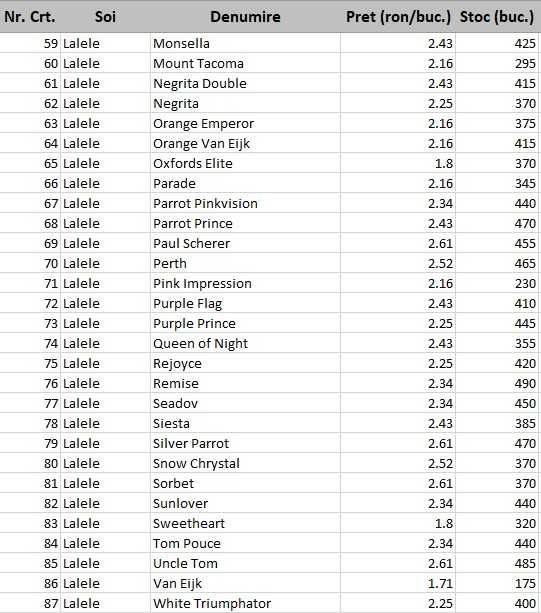 Bulbi de lalele, narcise. Lichidari de stoc. Preturi engros.