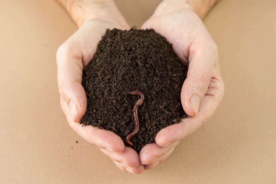 Биогумус Biogumus arzon narhda