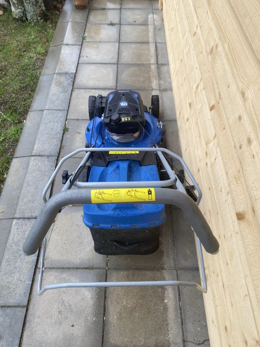 Косачка паркова