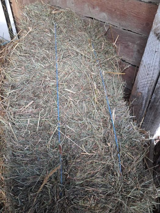 Baloti de lucerna,fan ,otava