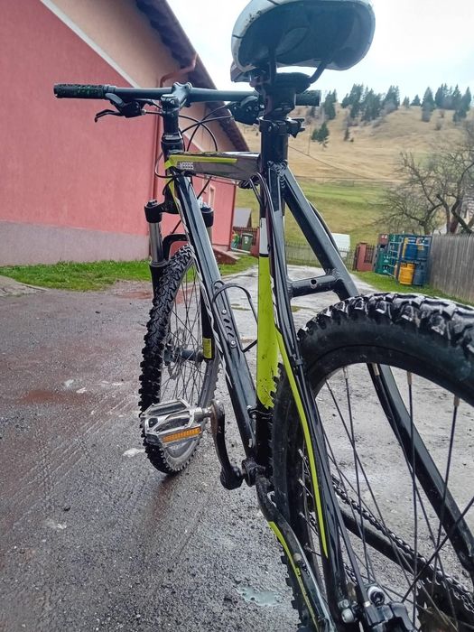 Bicicleta pentru adult
