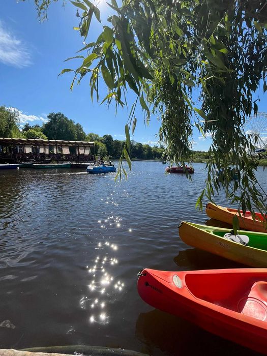 Comana, Jud Giurgiu, Str. Bujorului, 1262 mp, langa Parcul Natural