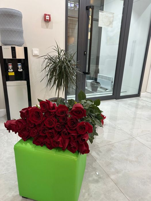 Продам цветы красные розы