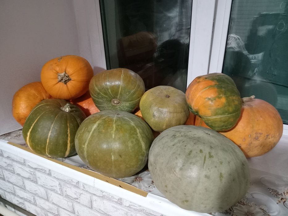 Дачные соленья, тыква