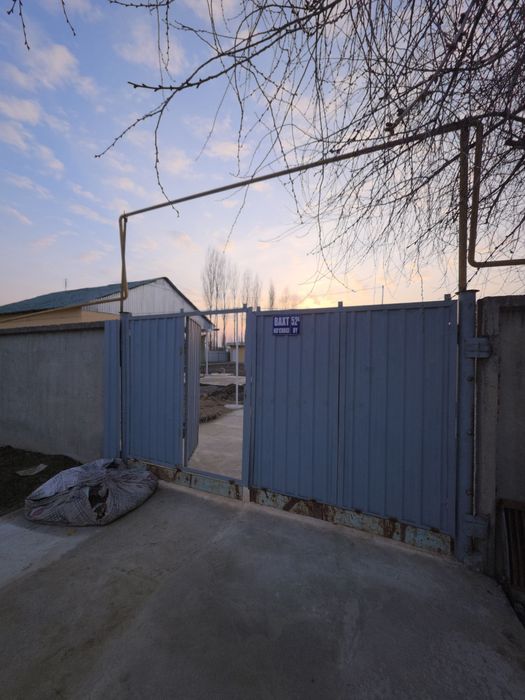 Zafarga uch kilometr Dalvarzin birinchi savxozda uchaska sotiladi.