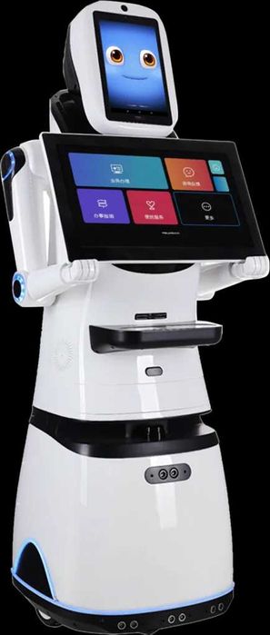 Roboti teleprezenta (cu chatgpt) , Automatizare, drona elicopter avion