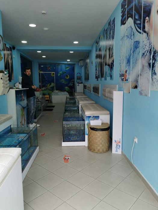 Студио за педикюр с рибки "Гара руфа" - дава се под наем