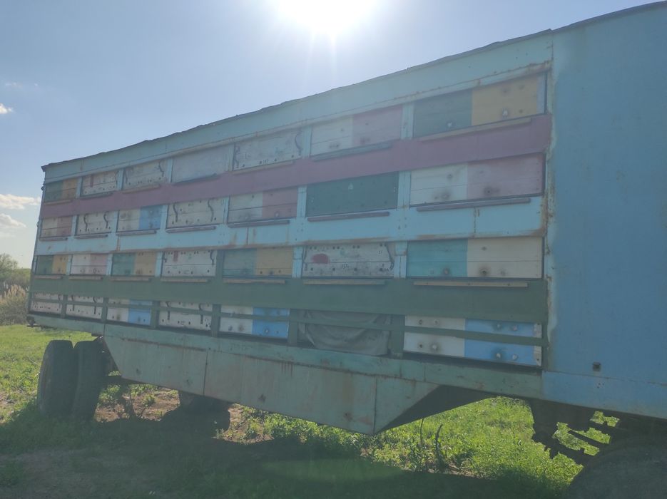 Продам пчелоприцеп