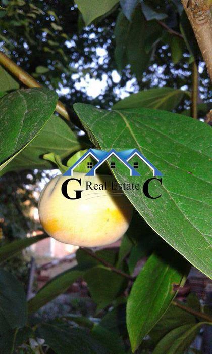 Продава се Къща в Варна, м-т Планова - 131 кв.м за 1222 €/кв.м - Снимка #5