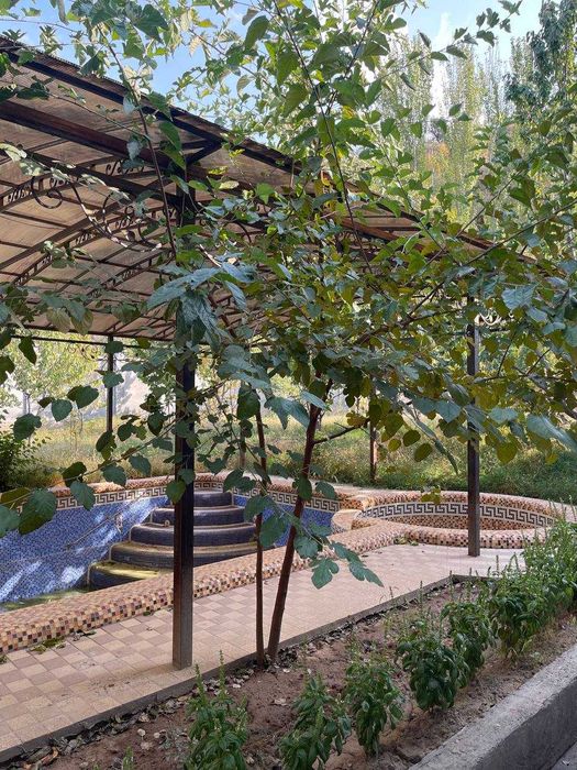 Срочно! Дача в горах Паркента с участком 15 соток!