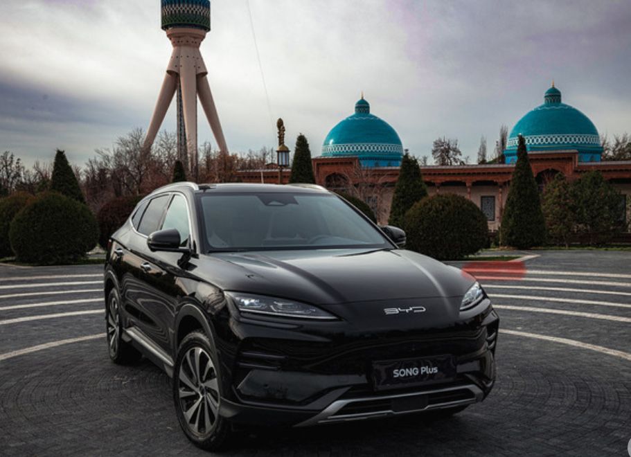 Бизнес такси хизмати BYD chempion gibrid 2025