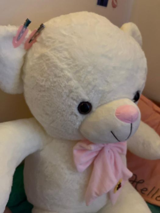 Бағасы 15мың т тағыда келісіп беремін