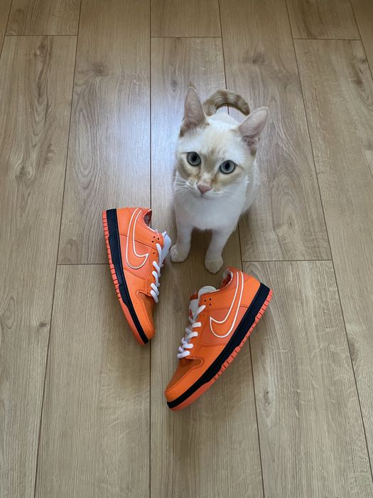 Nike SB Dunk Low Pro Orange Lobster