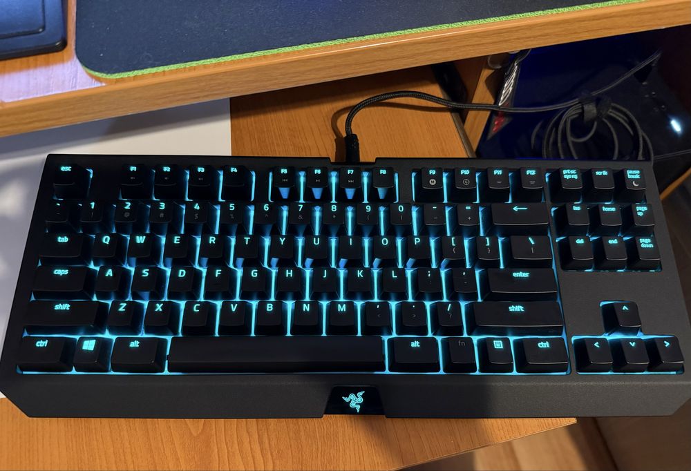 Tastatura Razer Blackwidow V2 TE