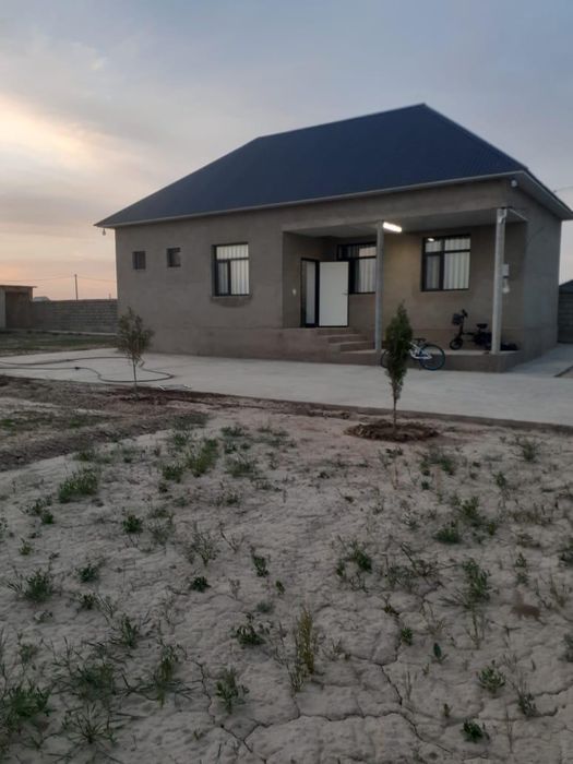 Орда да дайын уй сатылады