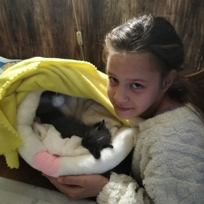 Очень красивая коша!!