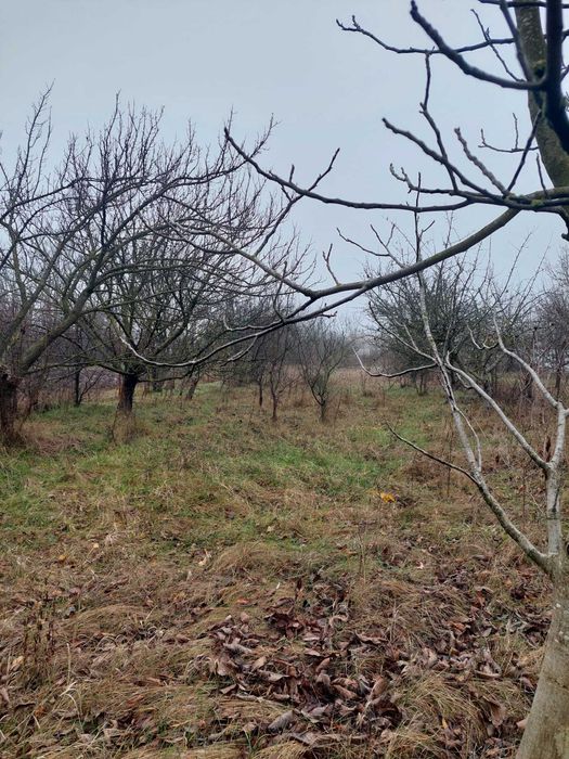 Casă de vanzare cu etaj, mansardă și garaj – curte în Dascălu, Ilfov