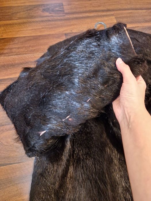 Blană naturală de nutrie – elegantă și rafinată