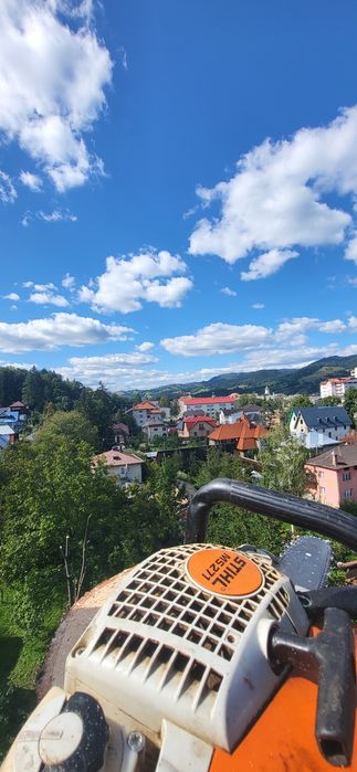 Servicii profesionale Toaletare /taiere Copaci Dificili