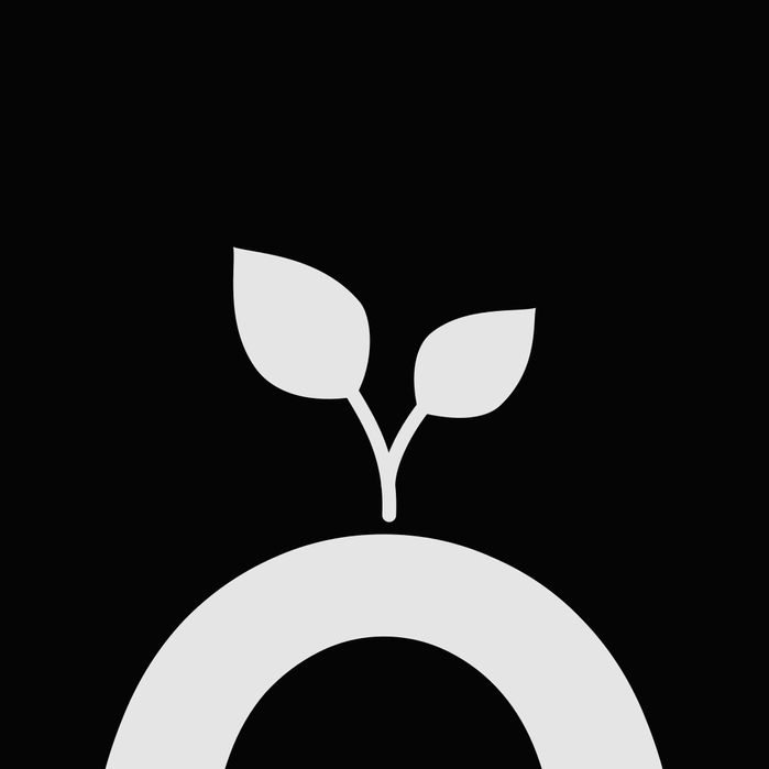 Курс английский для жизни (онлайн репетитор)