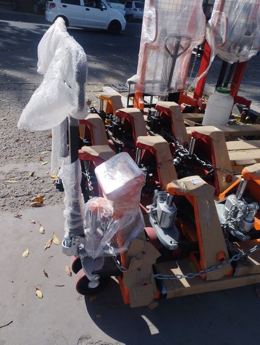 Рохлия весами торозли рохлия