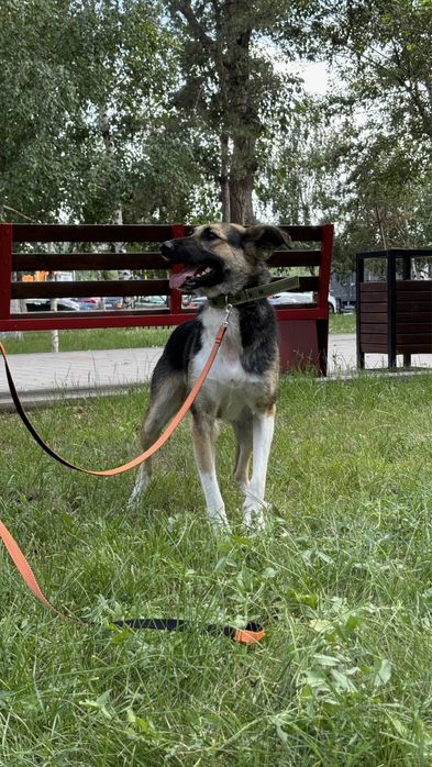 Девочка Габи