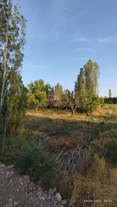 Участка 10 соток,Янгибозор