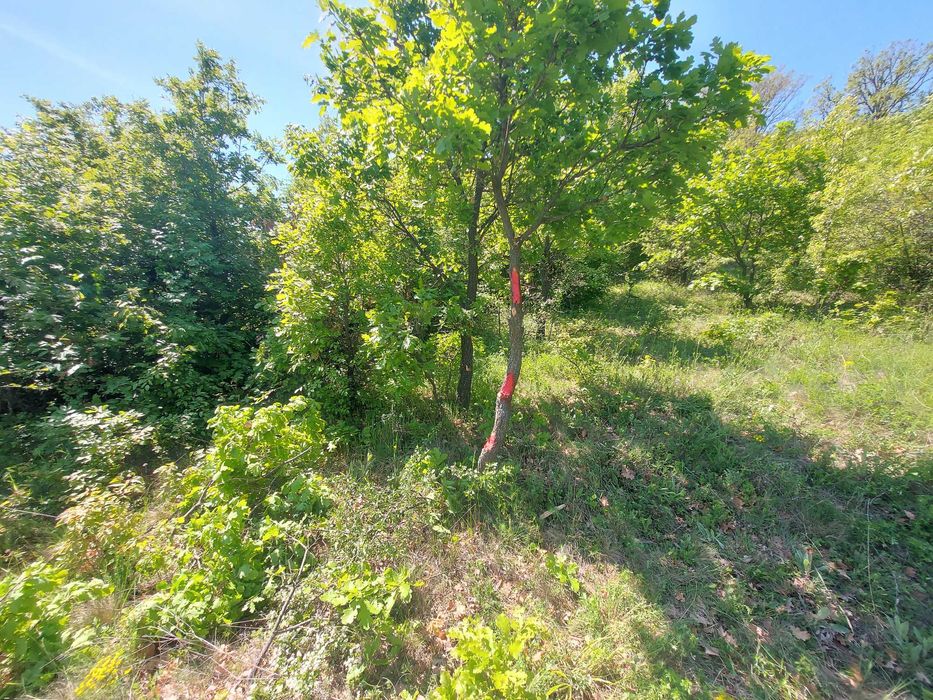 Продава се Парцел в с. Малка Верея, Област Стара Загора - 8537 кв.м за 8 €/кв.м - Снимка #5