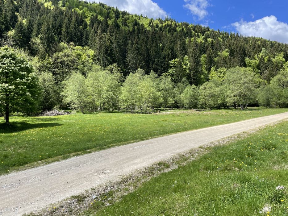 Vand teren 7500 mp Plaiul Foii Barsa lui Bucur