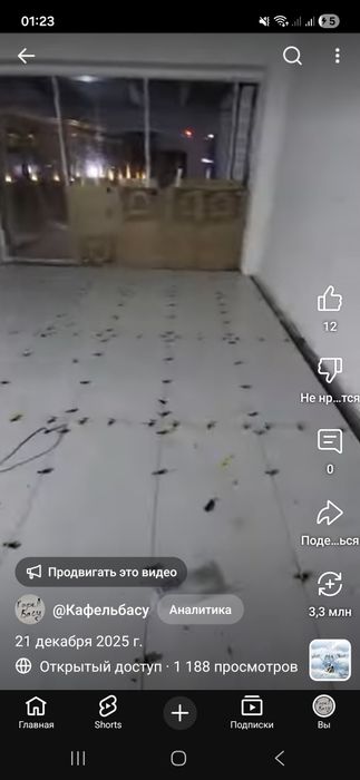 Кафелщик кафелшик кафел басамын