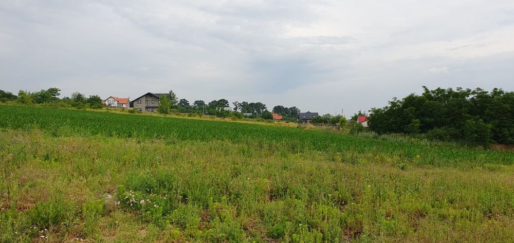 Teren intravilan Rediu