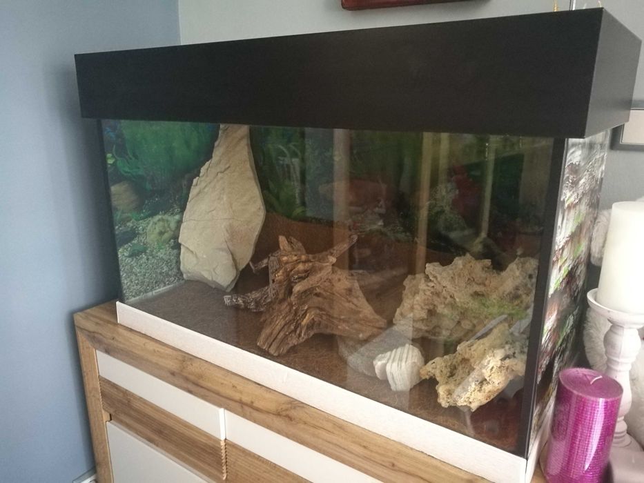 Аквариум + капак + украса