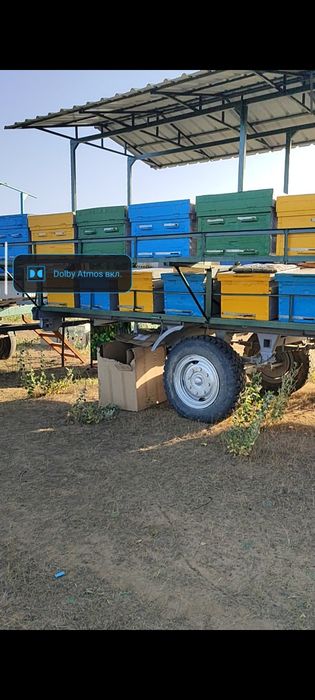 Пчелоприцеп Зил с пчелами