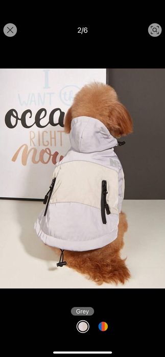 Яке за малко куче