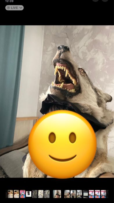 Продам Арлан В.О.Л.К