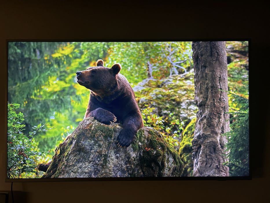 Televizor Philips 164 cm