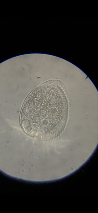 Microscop HD biologic 15000X zoom compus digital cu camera HD