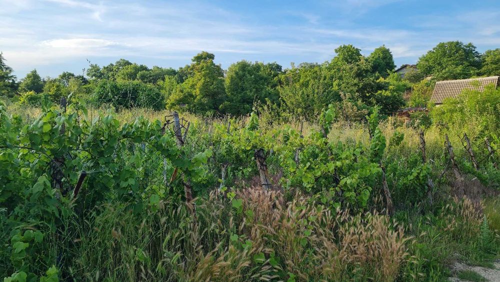 Продава се Парцел в Димитровград - 767 кв.м за 23 €/кв.м - Снимка #1