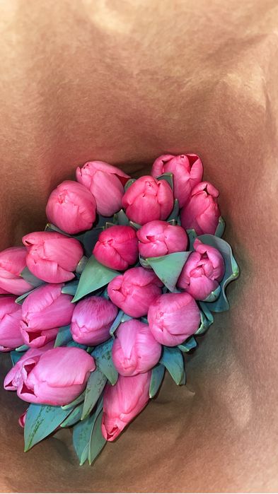 Тюльпаны напоямую с теплицы Астана