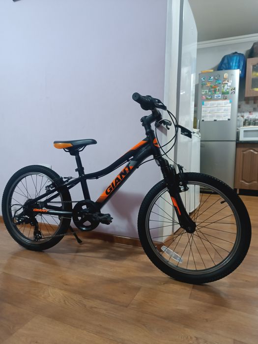 Giant, trek merida author, centurion biwec