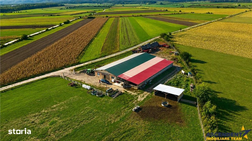 FILM! 18.000 mp, extravilan, agricol+ constructii:ferma,investitii agr