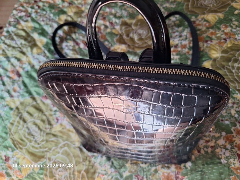 Rucsac de lac David Jones