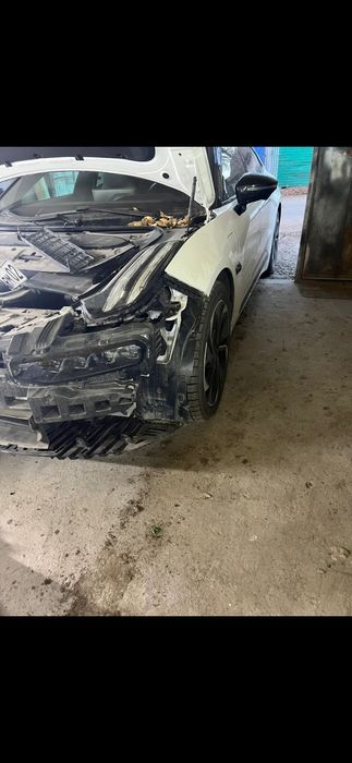 Костоправ маляр не дорого