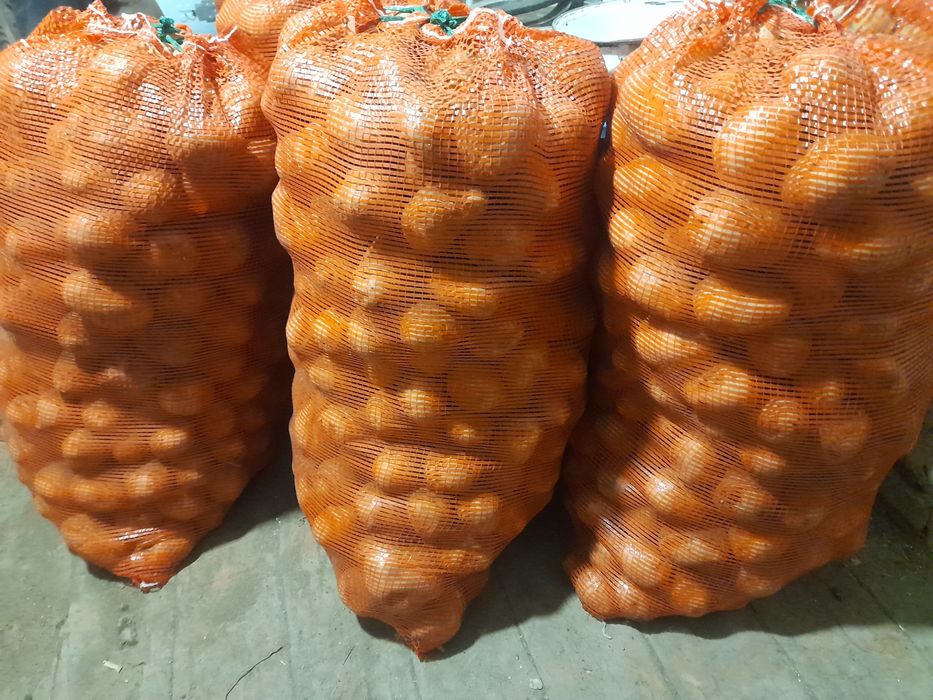 Картошка Домашний