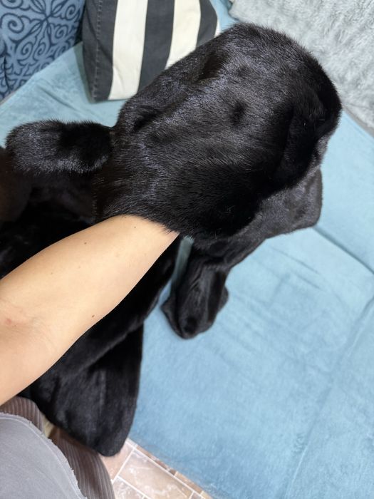 Черная норковая шуба