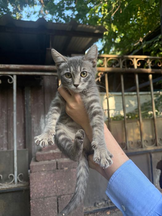 Малышка ищет любящий дом